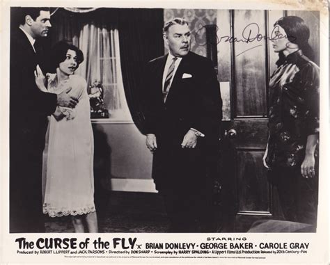 The Symbolism of the Fly in 'The Curse of the Fly